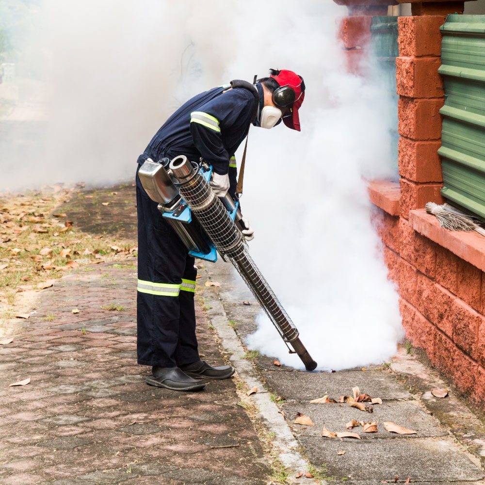 Safe and Effective Pest Control Services for Your Property